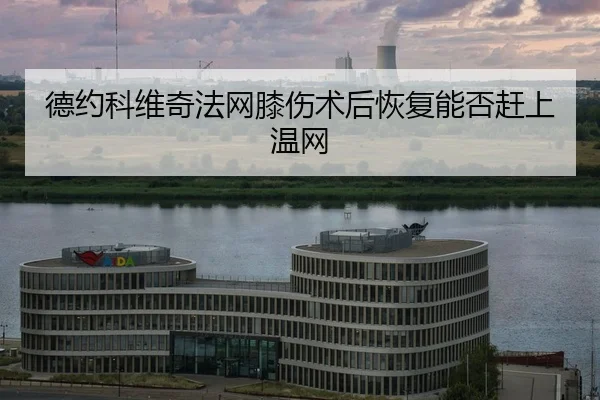 de-yue-ke-wei-qi-fa-wang-xi-shang-shu-hou-hui-fu-neng-fou-gan-shang-wen-wang-2-626.jpg