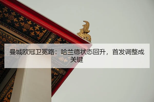 man-cheng-ou-guan-wei-mian-lu-ha-lan-de-zhuang-tai-hui-sheng-shou-fa-tiao-zheng-cheng-guan-jian-2-428.jpg