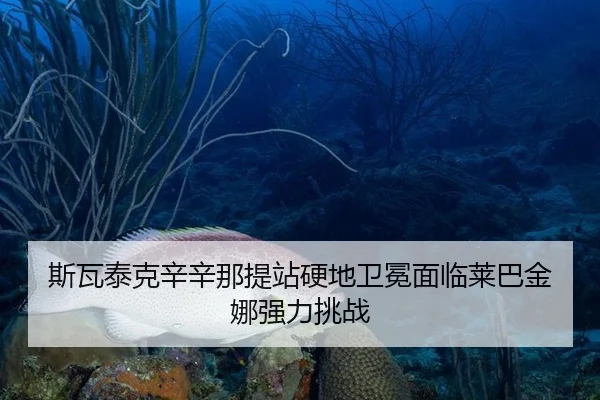 si-wa-tai-ke-xin-xin-na-ti-zhan-ying-di-wei-mian-mian-lin-lai-ba-jin-na-qiang-li-tiao-zhan-2-529.jpg