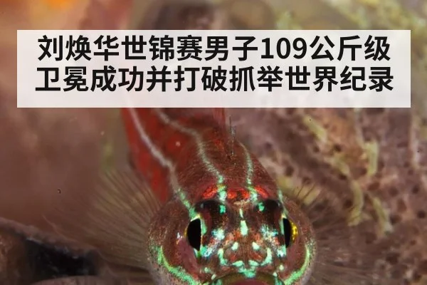 刘焕华世锦赛男子109公斤级卫冕成功并打破抓举世界纪录