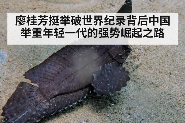 廖桂芳挺举破世界纪录背后中国举重年轻一代的强势崛起之路